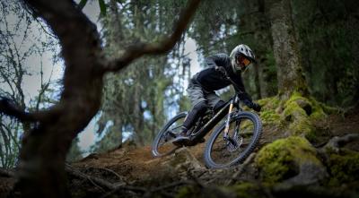 Am Flow PL Pro Produktbild 2