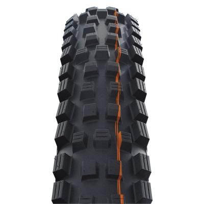 SCHWALBE Reifen MAGIC MARY Evo, Super Gravity, TLE Produktbild 1
