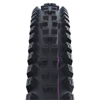SCHWALBE Reifen TACKY CHAN Evo, Super Gravity, TLE Produktbild 1