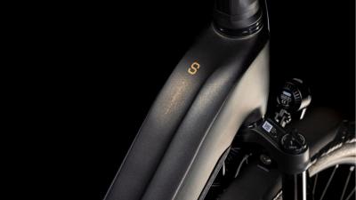 Cube Kathmandu Hybrid SLT 800 golddust'n'black Gr&ouml;&szlig;e: Easy Entry 46 cm Produktbild 1