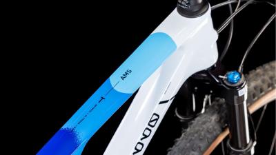 Cube AMS ZERO99 C:68X Race 29 teamline Gr&ouml;&szlig;e: XL Produktbild 1