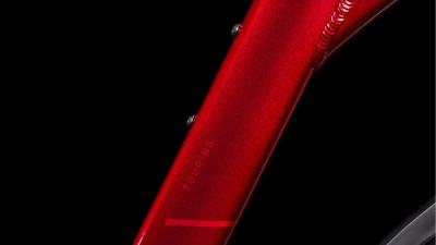 Cube Touring Pro maroon'n'pearl Gr&ouml;&szlig;e: Easy Entry 45 cm Produktbild 2