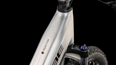 Cube Reaction Hybrid ONE 800 silver'n'black Gr&ouml;&szlig;e: Easy Entry XL Produktbild 1