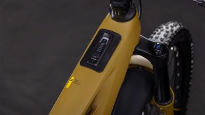 Cube Stereo Hybrid ONE77 HPC Race 800 willowgreen'n'black Gr&ouml;&szlig;e: L Produktbild 1