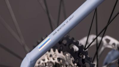 Cube Reaction Hybrid SLX 800 gauzegrey'n'iceblue Gr&ouml;&szlig;e: Easy Entry L Produktbild 4