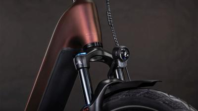 Cube Kathmandu Hybrid Pro 800 sunglow'n'chrome Gr&ouml;&szlig;e: Easy Entry 46 cm Produktbild 5