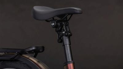 Cube Kathmandu Hybrid Pro 800 sunglow'n'chrome Gr&ouml;&szlig;e: Easy Entry 50 cm Produktbild 4