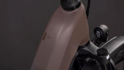 Cube Kathmandu Hybrid EXC 800 cedar'n'chrome Gr&ouml;&szlig;e: Easy Entry 46 cm Produktbild 1