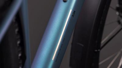 Cube Aim Pro FE smaragdgrey'n'prism Gr&ouml;&szlig;e: L Produktbild 2