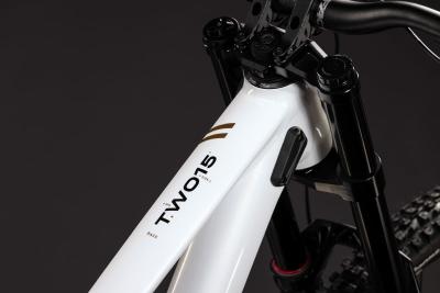Cube TWO15 Race powdergold'n'black Gr&ouml;&szlig;e: L Produktbild 2