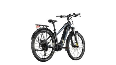 Conway Cairon C 3.0 Damen 53 cm beige Produktbild 2