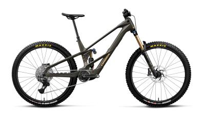 Orbea WILD LT M10 S Magic Gold C. View (Matt) - Titan Gold (Gloss) Produktbild 1