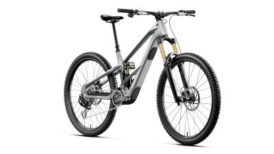 Orbea WILD/M LT M10 M Smooth Silver (Matt) - Escape Green C. View (Gloss) Produktbild 4