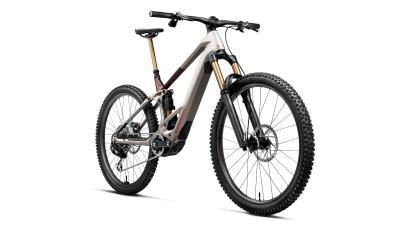 Orbea WILD TR M10 XL Desert Rose (Matt) - Burning Ashes C. View (Gloss) Produktbild 4