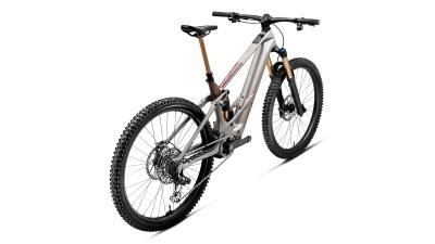 Orbea WILD TR M10 XL Desert Rose (Matt) - Burning Ashes C. View (Gloss) Produktbild 5