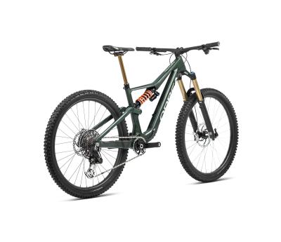 Orbea RALLON M11 AXS L Forest Green  - Blue Stone (Gloss) Produktbild 5
