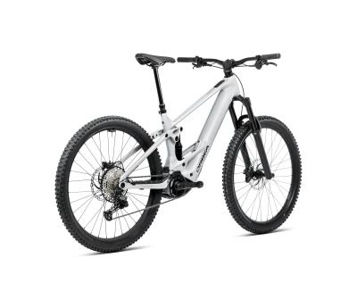 Orbea WILD ST H20 L Halo Silver Gloss Produktbild 5