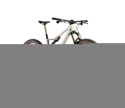 Orbea OCCAM SL M-LTD M Ivory White - Nickel (Gloss) Produktbild 6