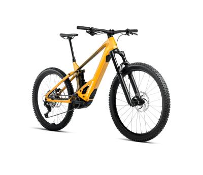 Orbea WILD/M H20 L Bumblebee Yellow-Metallic Olive Green (Gloss) Produktbild 4