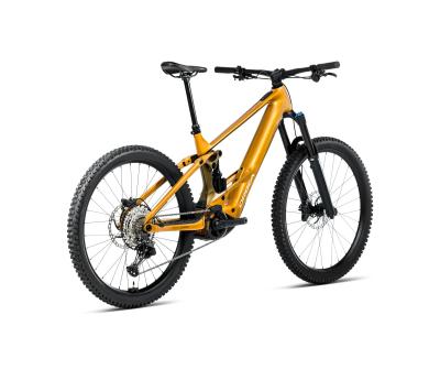 Orbea WILD/M H10 L Bumblebee Yellow-Metallic Olive Green (Gloss) Produktbild 2