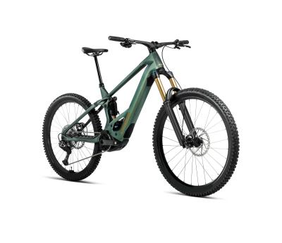 Orbea WILD/M M-LTD L Seaweed Carbon View Matt Produktbild 1