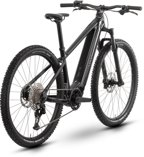 R Raymon Hardray Ultra 29" mica / black / chrome M