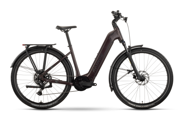 R Raymon Tahona Comp 29" plum noir XL