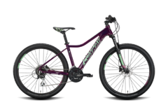 Kategorie MTB-Hardtail